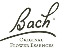 Bachovy květové esence